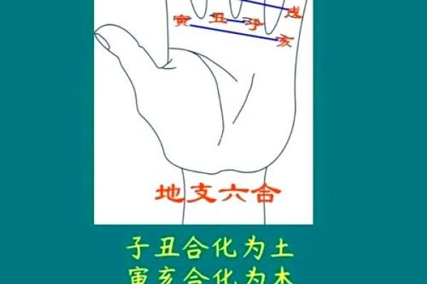 探秘己未配丙寅，揭秘八字配对奥秘