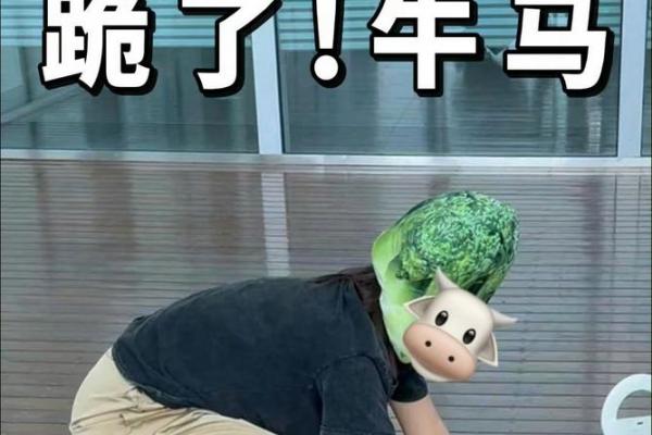 马牛组合，绝配奇迹