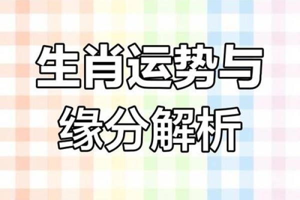 面相解析：揭秘十二生肖的运势密码