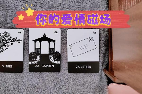 爱情磁场，命格相吸，缘定三生