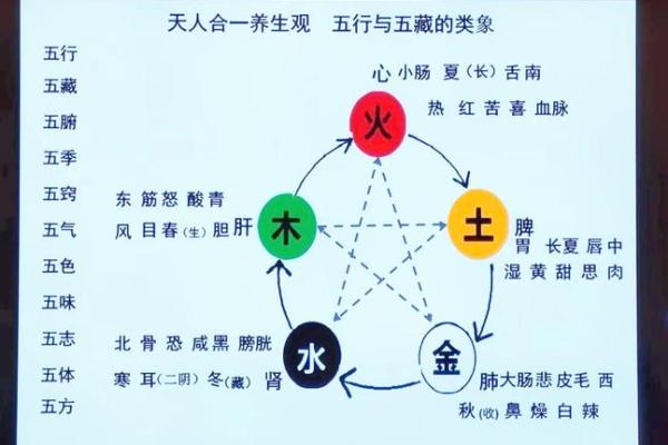 潼五行属性揭秘，了解它背后的神秘文化