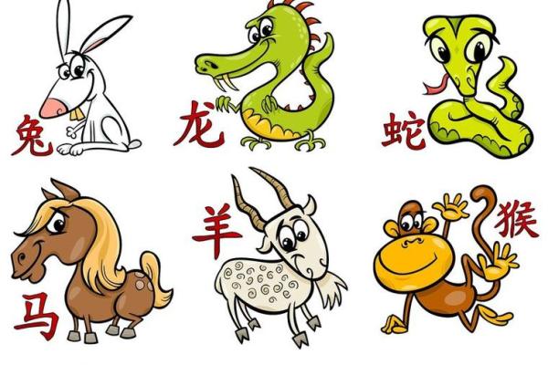 揭秘：距离你的生肖，竟隐藏着这些惊人秘密