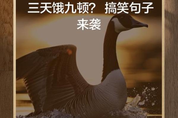12月：饿命来袭，揭秘你的饿运势