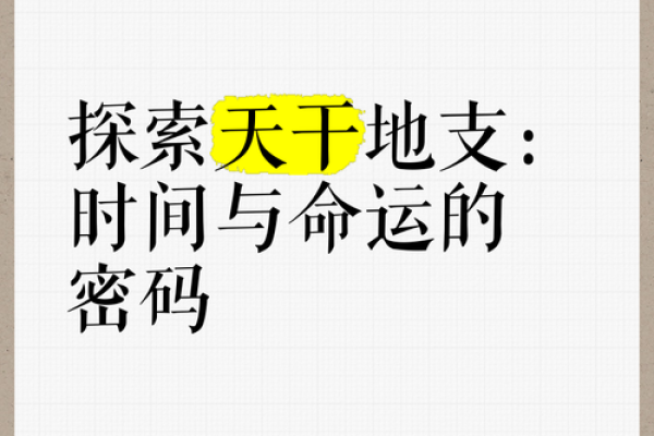 命运的密码：天干与自然派命理