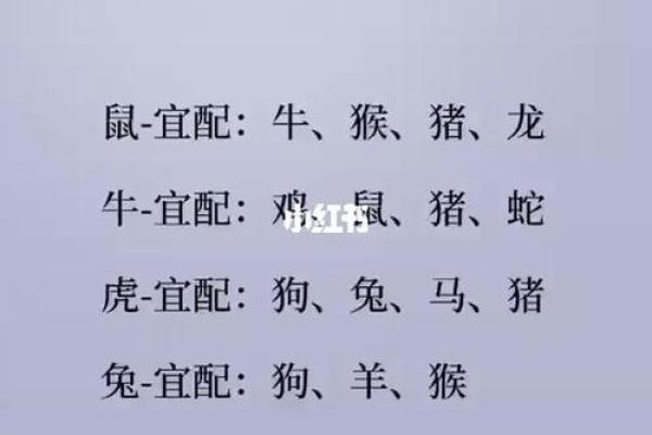 揭秘：年龄与生肖的神秘关系，你属什么生肖？