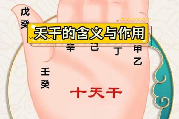 天干十冲歌诀深度解析