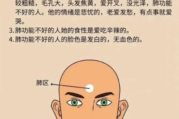 面相揭秘：看脸识命运，揭秘你的人生走向