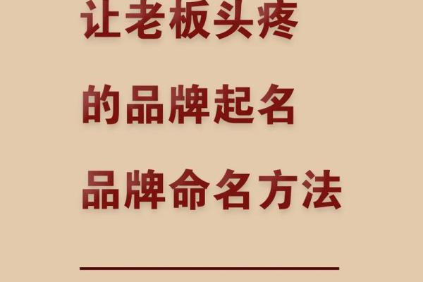 掌握公司起名评分法则，轻松打造品牌名