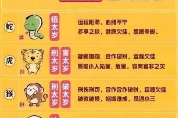 虎啸龙吟：2024生肖运势大揭秘