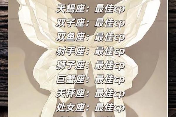 揭秘十二星座魅力，哪个是你的灵魂之选？