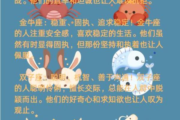 揭秘十二星座魅力，哪个是你的灵魂之选？