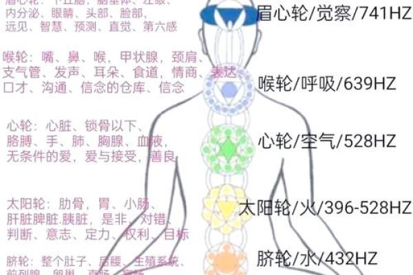 揭秘佐字五行归属，了解它的深层秘密