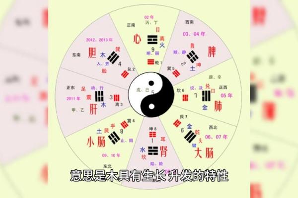 五星命理：命运如何在五行中揭示