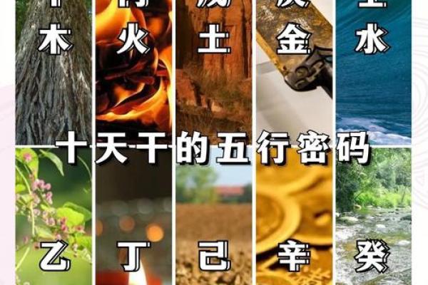 属土天干的人生特点，五行命理对你有何影响？