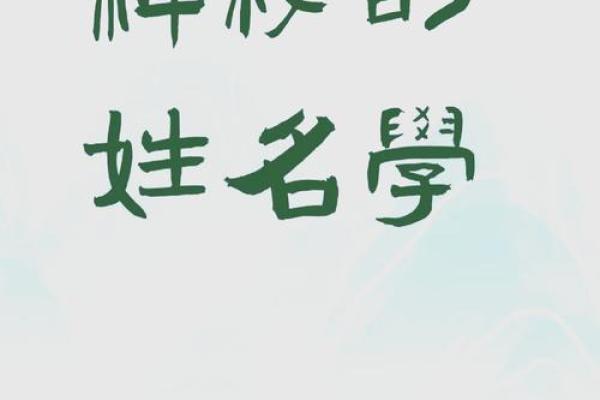 揭秘命的神秘面纱：探寻人生意义的终极奥秘