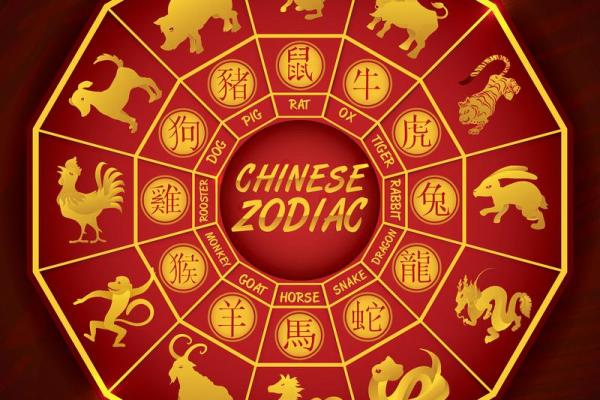 十二生肖齐聚，揭秘生肖运势大揭秘