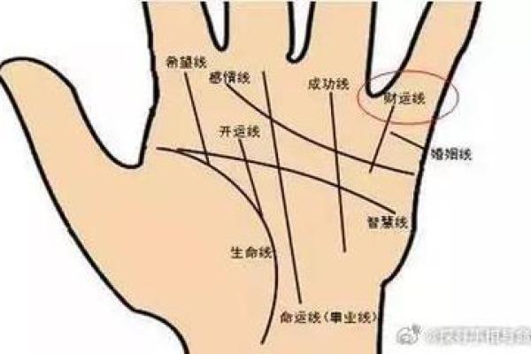 揭秘好命多财男人的神秘手相特征