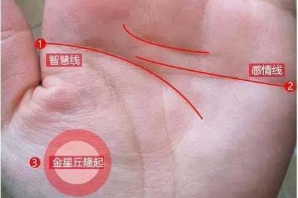 揭秘手相秘密：金星丘横线暗示的惊人运势