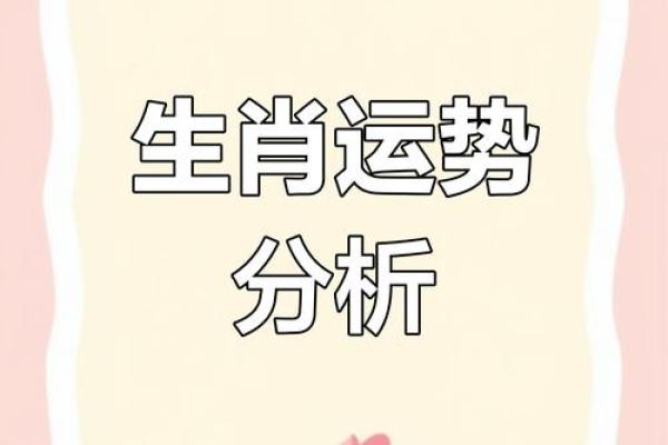 生肖运势揭秘：揭秘你的生肖财运密码