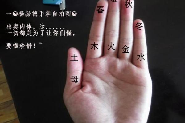 揭秘手相五行奥秘：掌握命运，开启财富人生