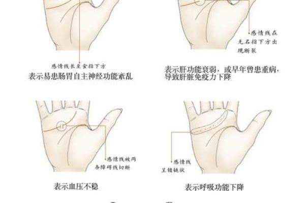 手相的秘密：揭秘随着年龄和经历而改变的神奇手纹变化