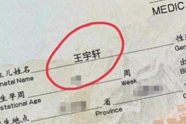 轩字起名技巧揭秘