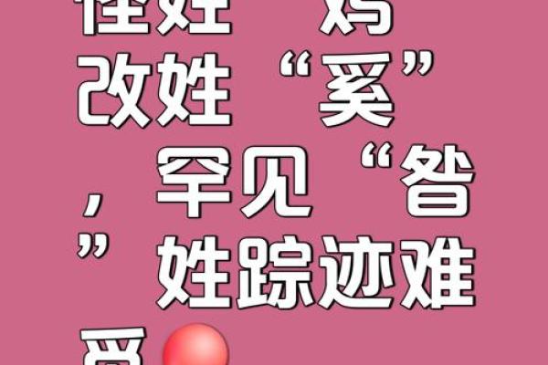 给小鸡起名字有技巧，这些创意灵感不可错过