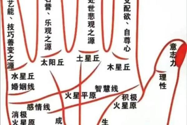 手相中财富线揭秘：如何一眼看穿你的财运