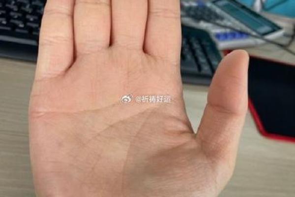 揭秘手相秘密：鳖指甲大拇指的惊人寓意，你了解多少？