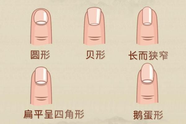 揭秘手相秘密：鳖指甲大拇指的惊人寓意，你了解多少？