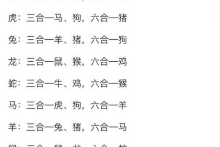 生肖透猜：揭秘你的命中生肖密码