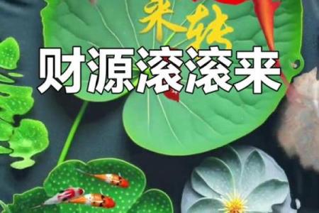 池塘环绕，财运亨通：揭秘风水中的池塘奥秘