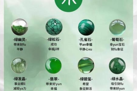 五行属木的特点与影响，如何运用木元素助力人生