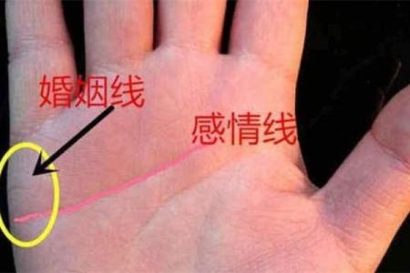 手相揭秘：感情线与婚姻线完美交融，揭秘你的幸福密码