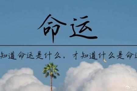了解命理四马之地，掌控未来命运的关键