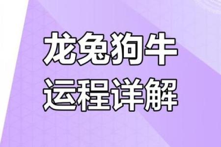 2024年生肖运势大揭秘：你的属相吉凶如何？