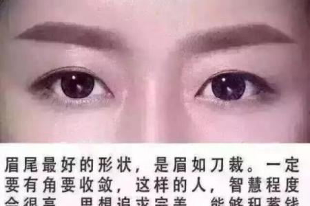 粗眉藏福，细眉聚财：揭秘眉毛粗细背后的面相秘密