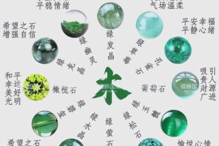 五行杨柳木的深层含义揭秘