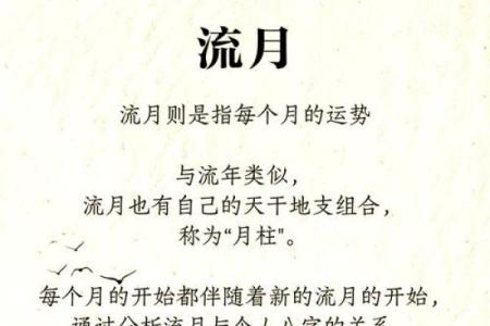 面相揭秘：女子流年运势，一眼看穿命运转折