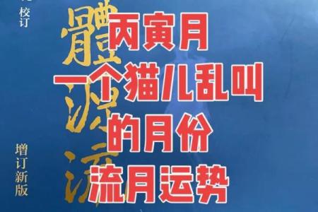探秘己未配丙寅，揭秘八字配对奥秘