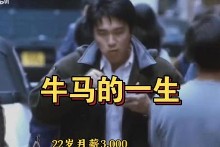 马牛组合，绝配奇迹