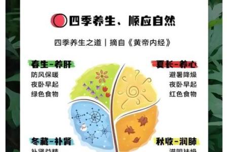 潼五行属性揭秘，了解它背后的神秘文化