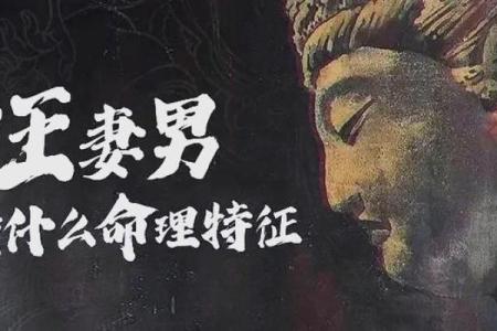 妻命：揭秘夫妻幸福的秘密法则