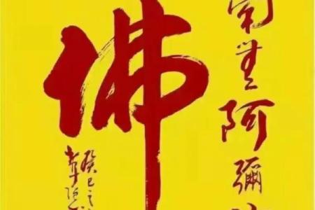 2017佛光普照：揭秘佛菩萨节日独特民俗盛宴