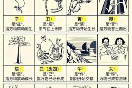 命运的密码：天干与自然派命理