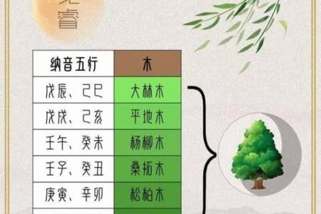 探秘五行杨柳木与命理的关系