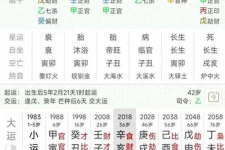 贵妇八字如何影响命运轨迹，专家告诉你