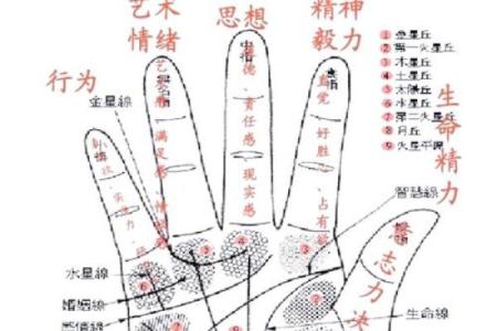 手相揭秘：井字叉预示的惊人命运，你敢看吗？
