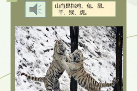 十二生肖起源之谜：上古传说揭秘生肖传奇