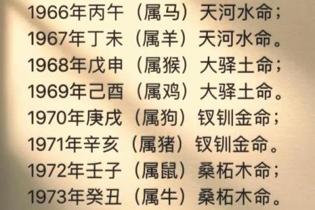 五星命理：命运如何在五行中揭示
